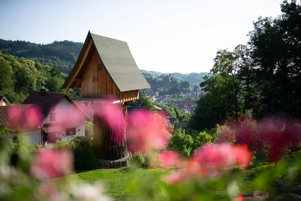 ferienwohnung-bassler_kappelrodeck-2000px-13 Ausblick vom Hof auf die Kirche und Schloss Rodeck in Kappelrodeck, umgeben von Weinbergen und Schwarzwaldlandschaft