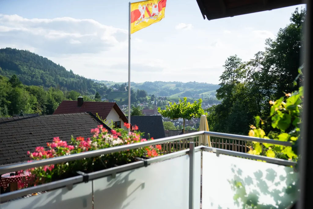 ferienwohnung-kappelrodeck-bassler-2000px-42 Aussicht vom Balkon der Ferienwohnung Schlossblick in Kappelrodeck auf das Achertal und die umliegenden Weinberge